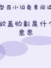欲盖弥彰是什么意思