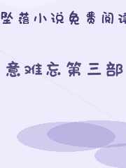 意难忘第三部