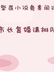 市长复婚请排队