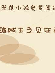 海贼王之见证者