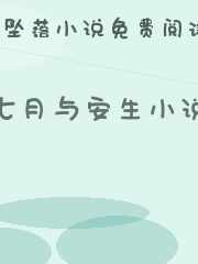 七月与安生小说