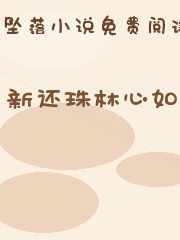 新还珠林心如