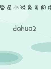 dahua2