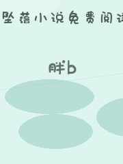 胖b