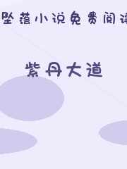 紫丹大道
