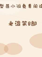 老湿第8部