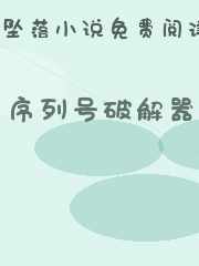 序列号破解器