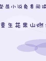 重生花果山燃文