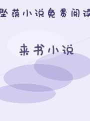 来书小说