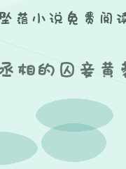 丞相的囚妾黄蓉