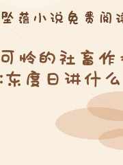 可怜的社畜作者:东度日讲什么