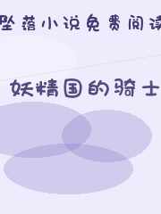 妖精国的骑士