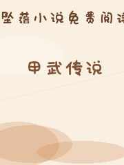 甲武传说