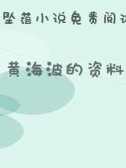 黄海波的资料