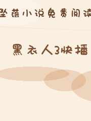 黑衣人3快播