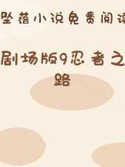 剧场版9忍者之路