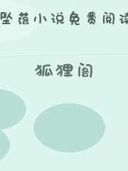 狐狸阁