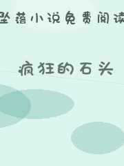 疯狂的石头