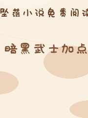 暗黑武士加点