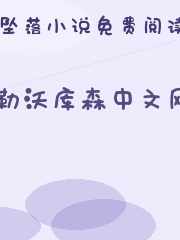 勒沃库森中文网