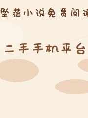 二手手机平台
