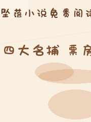 四大名捕 票房