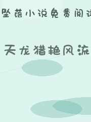 天龙猎艳风流