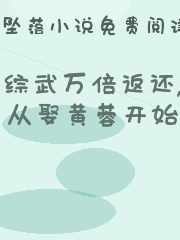 综武万倍返还,从娶黄蓉开始